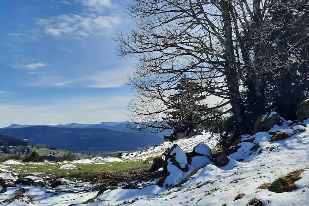 Plain-Pied Proche Base De Loisirs Et Voie Verte Saulxures-sur-Moselotte Εξωτερικό φωτογραφία