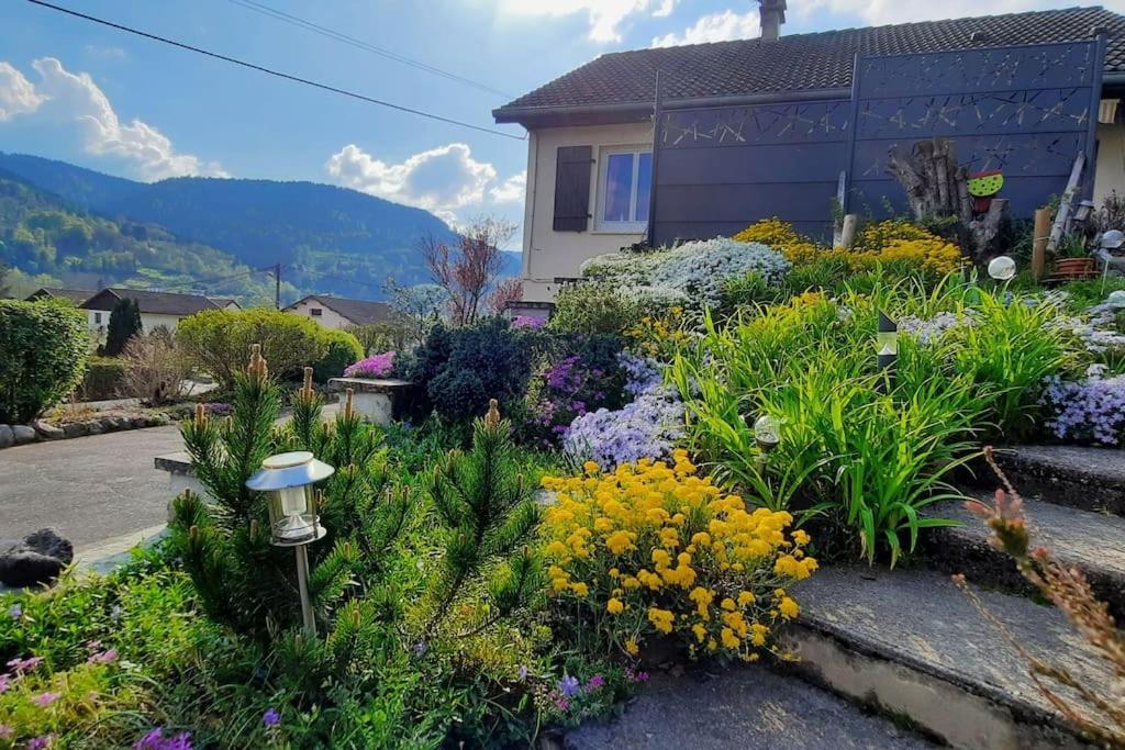 Plain-Pied Proche Base De Loisirs Et Voie Verte Saulxures-sur-Moselotte Εξωτερικό φωτογραφία