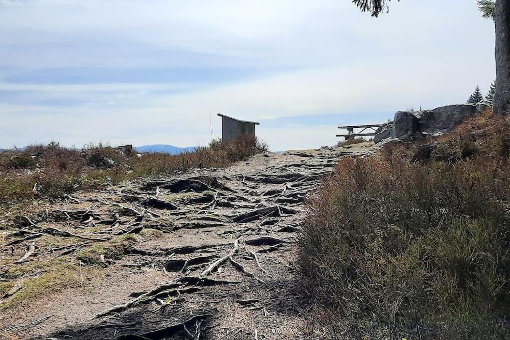 Plain-Pied Proche Base De Loisirs Et Voie Verte Saulxures-sur-Moselotte Εξωτερικό φωτογραφία