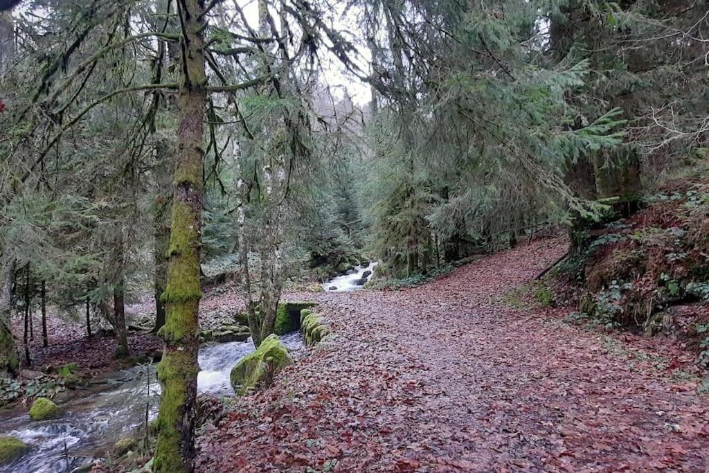 Plain-Pied Proche Base De Loisirs Et Voie Verte Saulxures-sur-Moselotte Εξωτερικό φωτογραφία