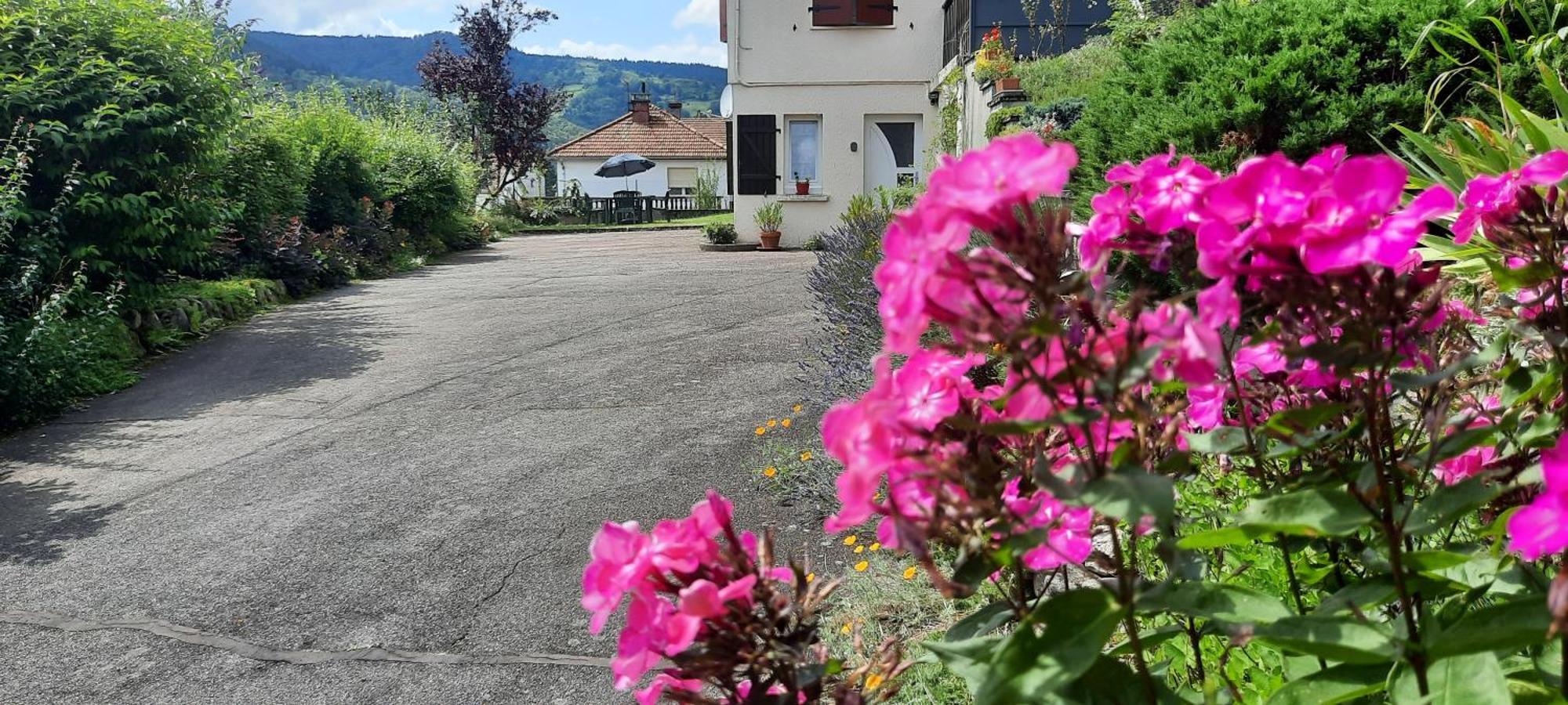 Plain-Pied Proche Base De Loisirs Et Voie Verte Saulxures-sur-Moselotte Εξωτερικό φωτογραφία